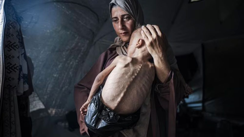 Mohammad Zakaria Ayoub al-Matouq 