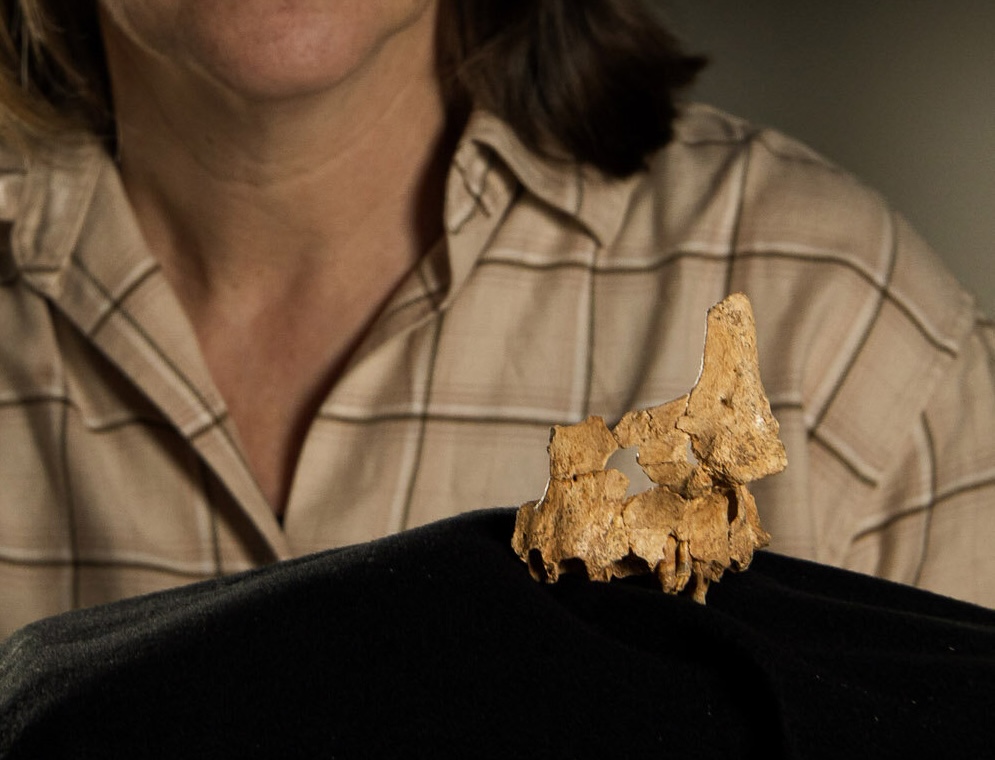 Фото: Catalan Institute of Human Paleoecology and Social Evolution