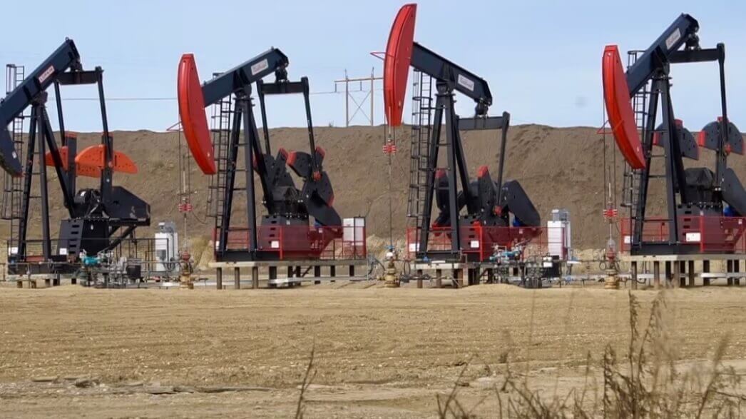 Фото: Kyle Bakx/CBC